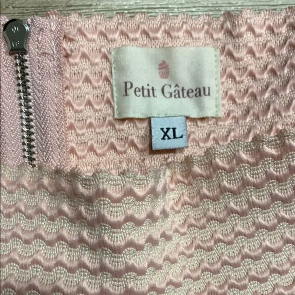 Petit Gateau Pink Cupcake Pleated‎ A-Line Mini Skirt Size XL - Picture 2 of 12